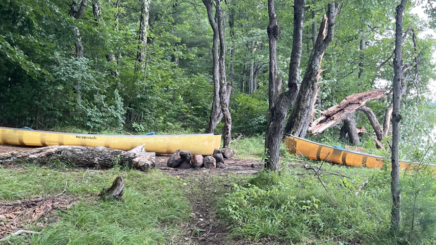 DEC Forest Rangers – Week in Review