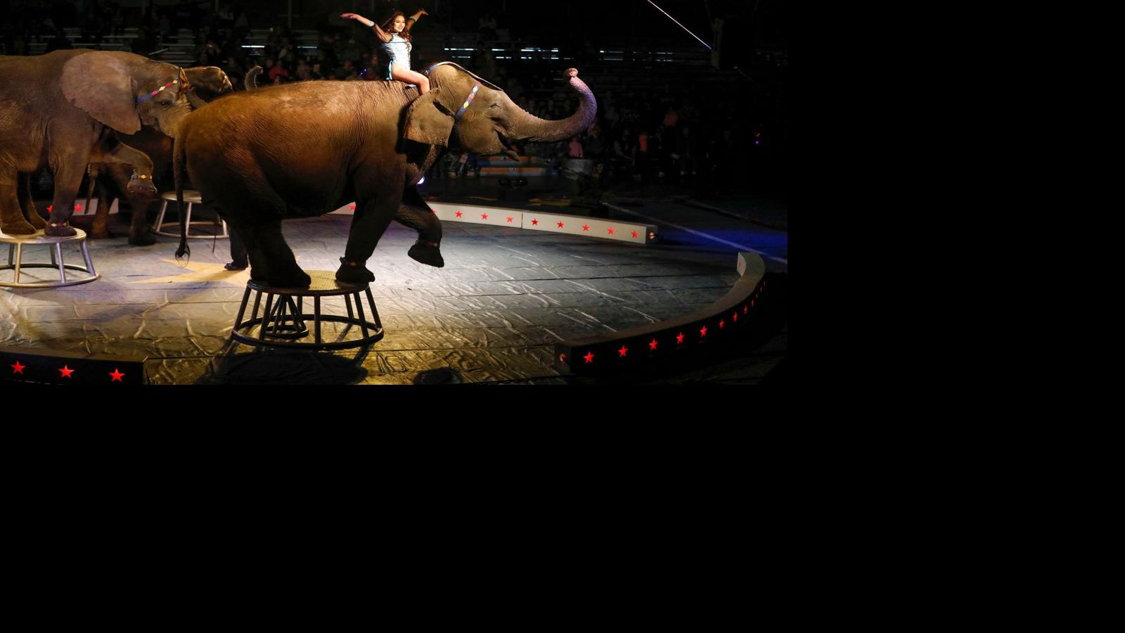 Shrine Circus returns to Fairgrounds Multimedia
