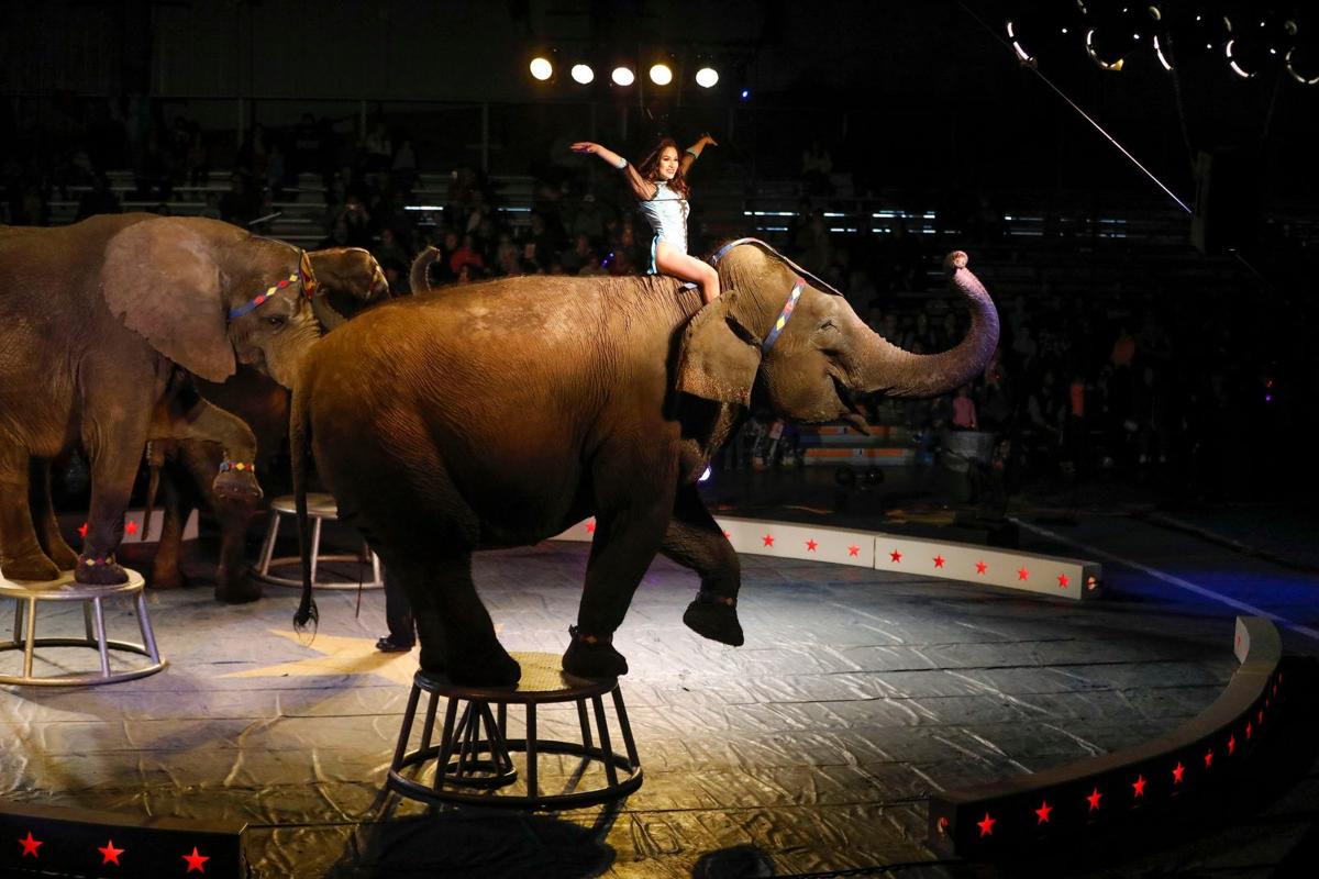 Shrine Circus returns to Fairgrounds
