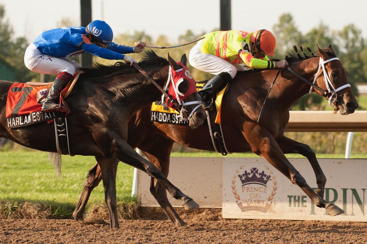 Jockey Gary Boulanger Haddassah Prince of Wales Stakes