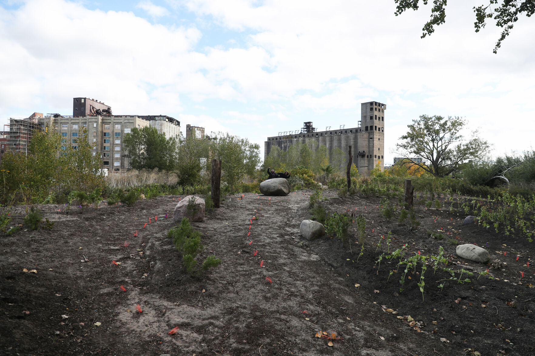 Labyrinth-shaped pollinator garden coming to Silo City