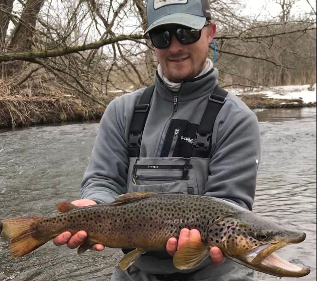 brown trout