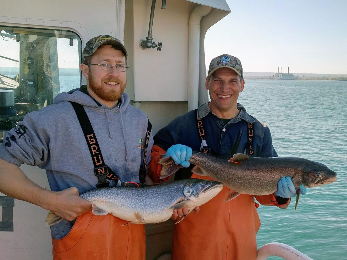 lake trout tagging