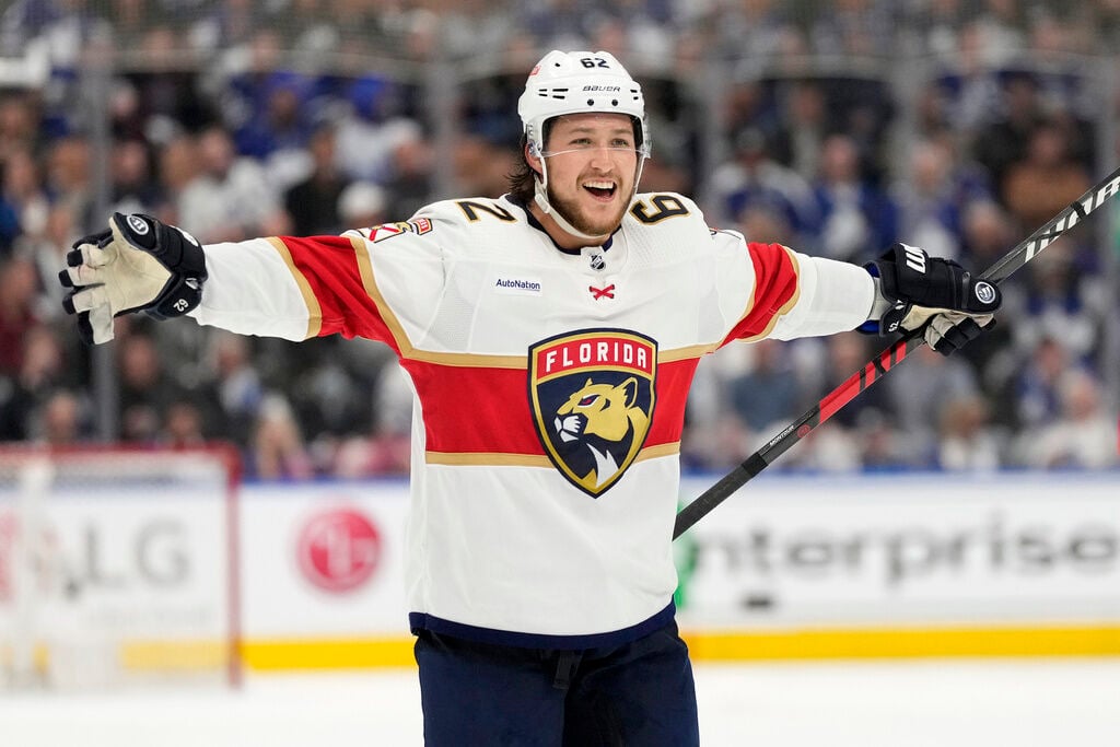 Florida Panthers: The role and importance of being a fan