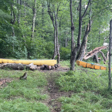 DEC Forest Rangers – Week in Review