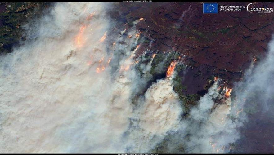 Canadian wildfire smoke linked to fewer bird sightings in New York State