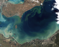 Toxic algae blooms in Lake Erie