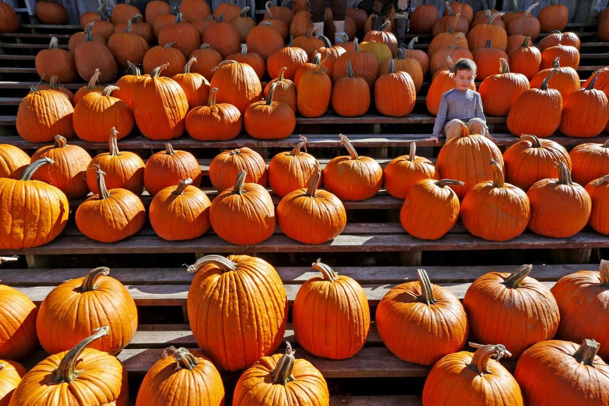 8 Free And Fun Halloween Must Dos With Your Kiddos Entertainment