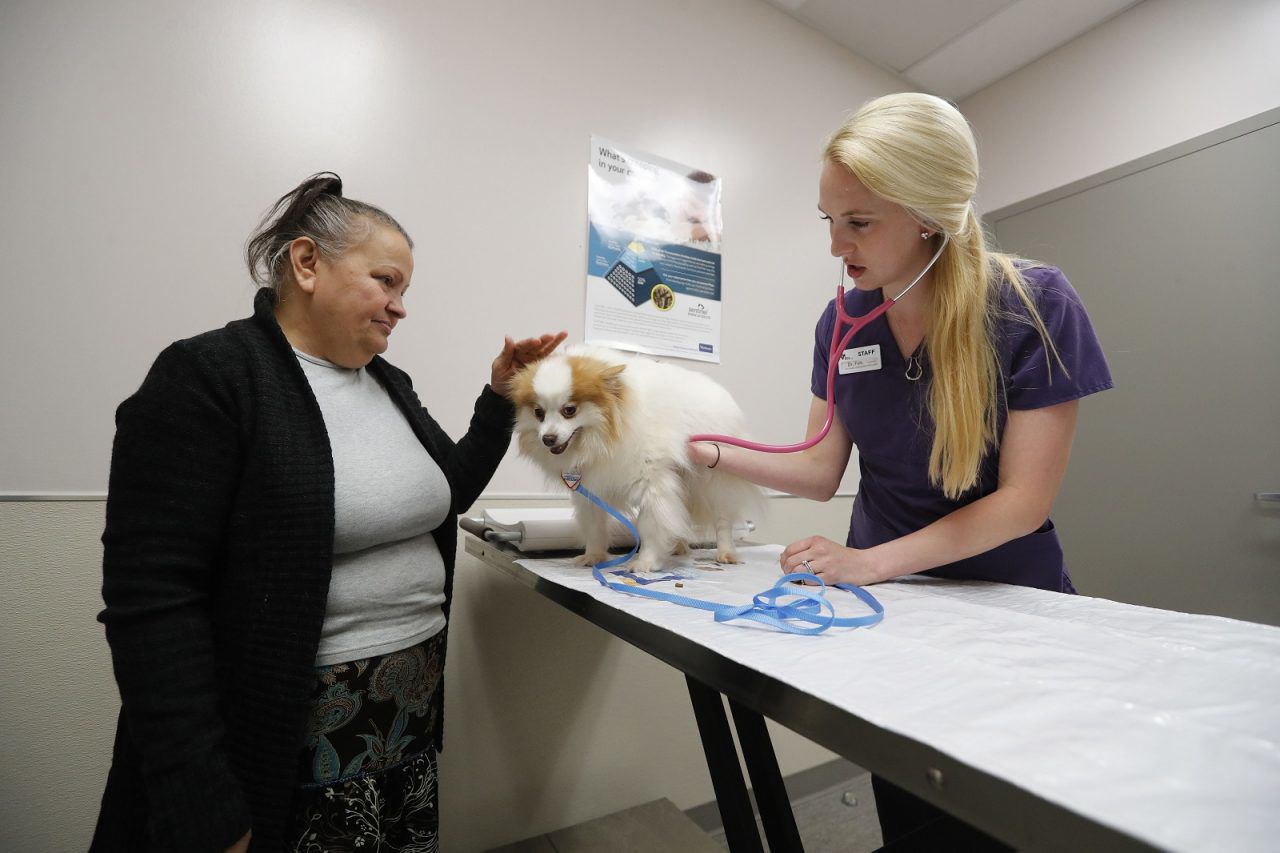 local low cost vet clinics