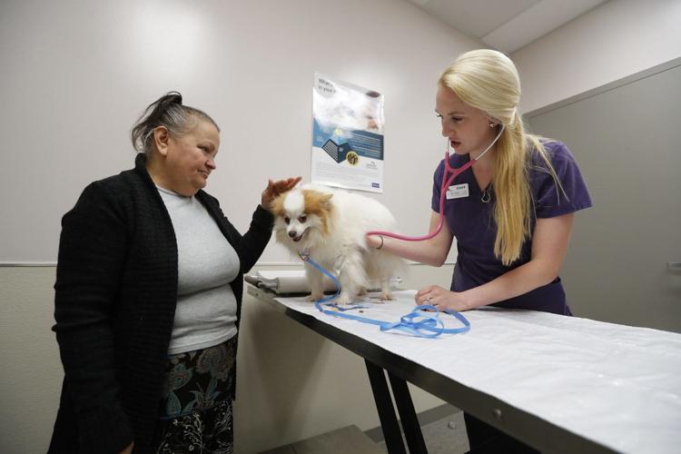 Lipsey Clinic fills a need with lowcost vet care at SPCA