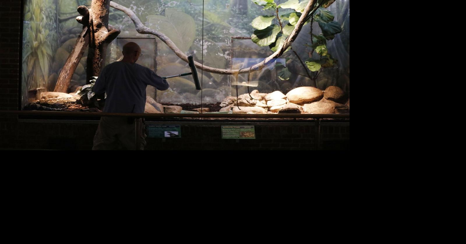 Buffalo Zoo Reptile House