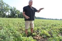 Michael Chiavetta of Chiavetta's Potato Farm 2