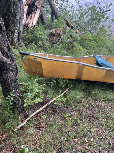 DEC Forest Rangers – Week in Review