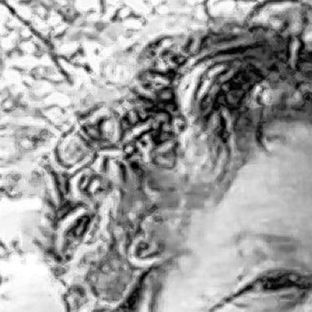 Swiatek Sharon A Kowalski Obituaries Buffalonews Com