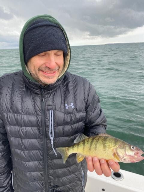 Lake Erie perch