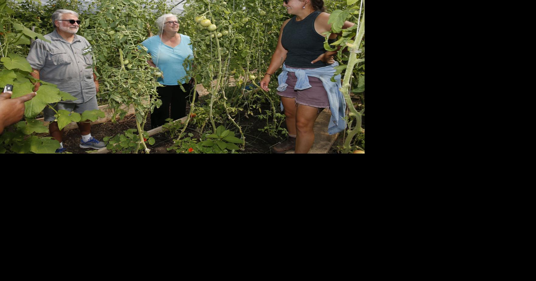 'Urban Farm Day' tour grows interest in sustainable agriculture