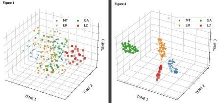 AI and ‘Ramanomics’ could eliminate a major obstacle to studying living cells
