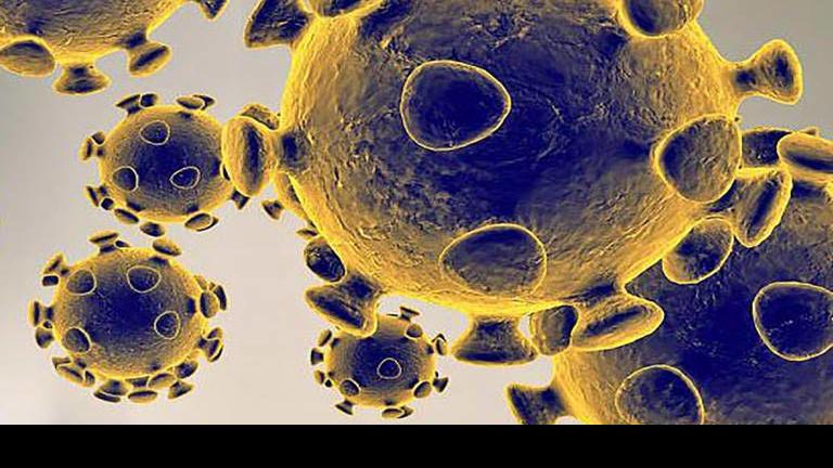 Covid 19 Antibody Tests Began Sunday At Grocery Stores Including