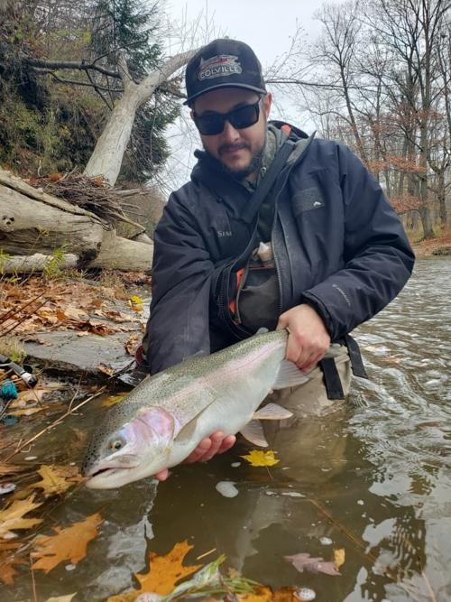 Lake Erie tributary steelhead