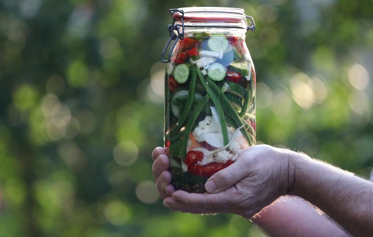 As Harvest Peaks Refrigerator Pickles Allow You To Skip The Canning Dining Buffalonews Com As Harvest Peaks Refrigerator Pickles Allow You To Skip The Canning Dining Buffalonews Com