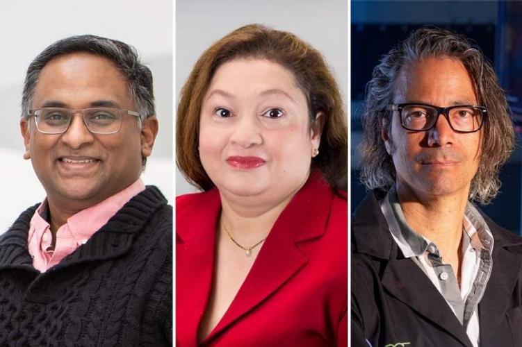 Three UB faculty receive Fulbright Scholar awards