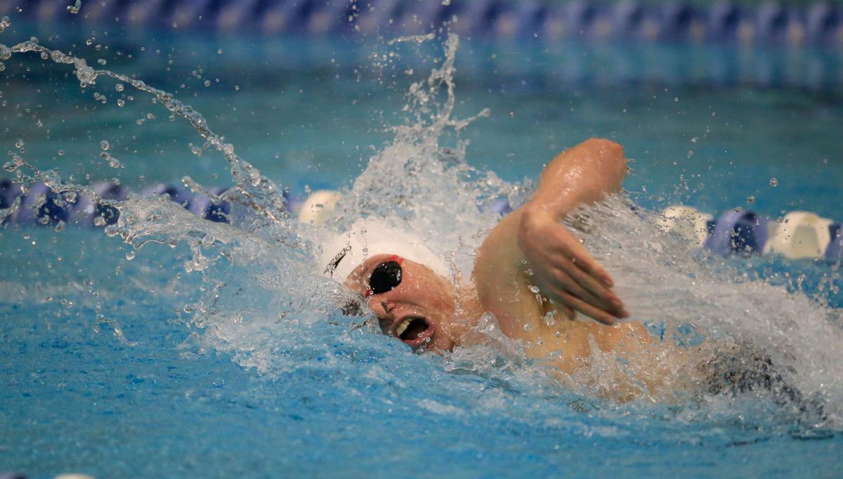 Section Vi Swimming Kenmore S Harper Defends Titles In Freestyle Races High School Buffalonews Com