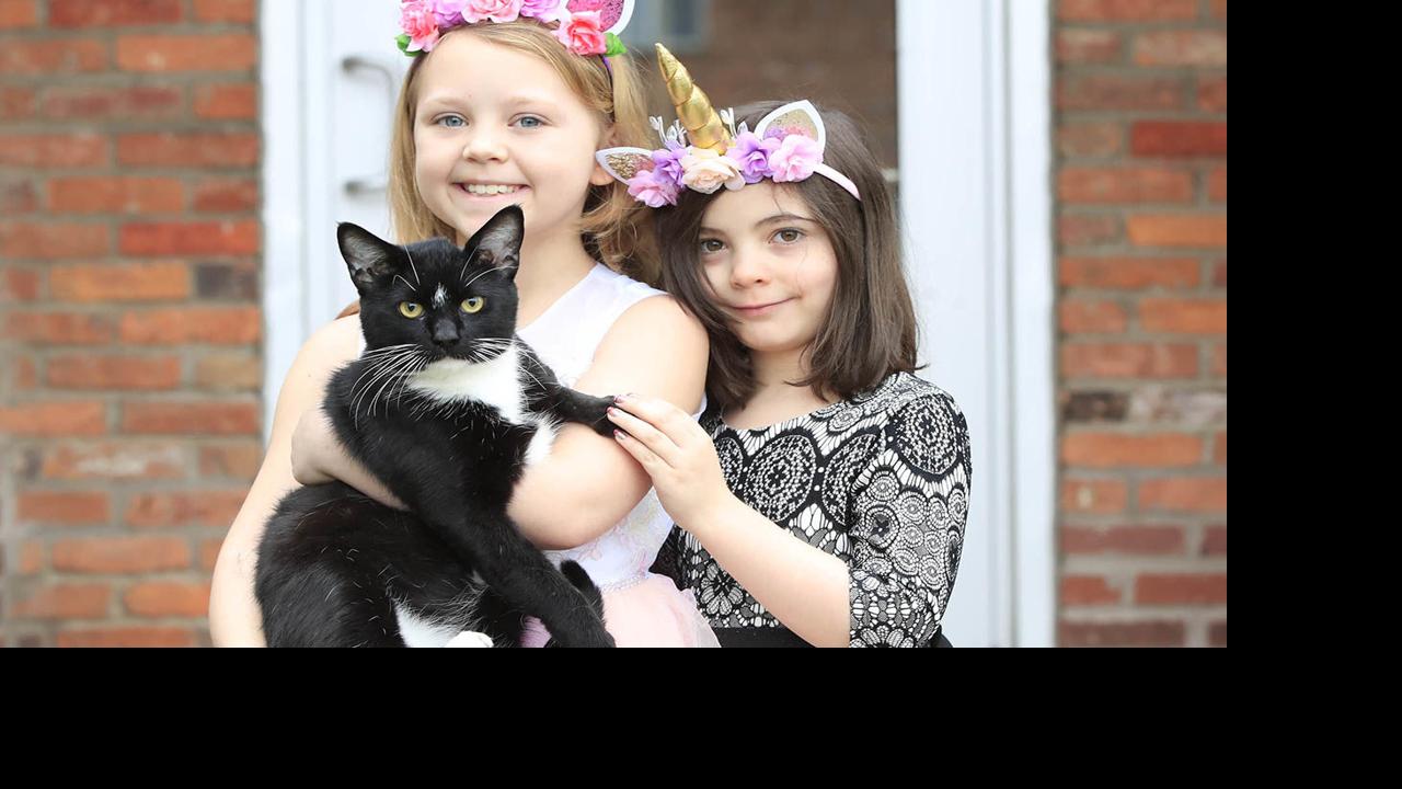 Adoptions Soar At Spca As Staff Services Are Cut Local News Buffalonews Com