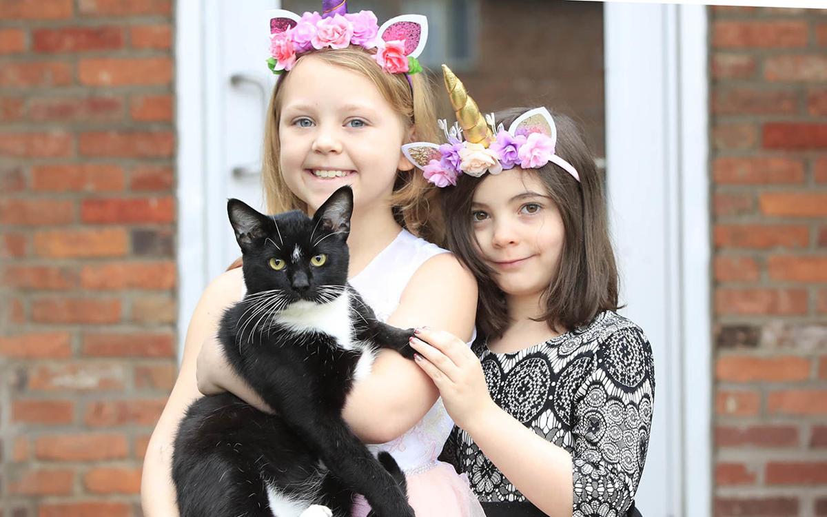 Adoptions Soar At Spca As Staff Services Are Cut Local News