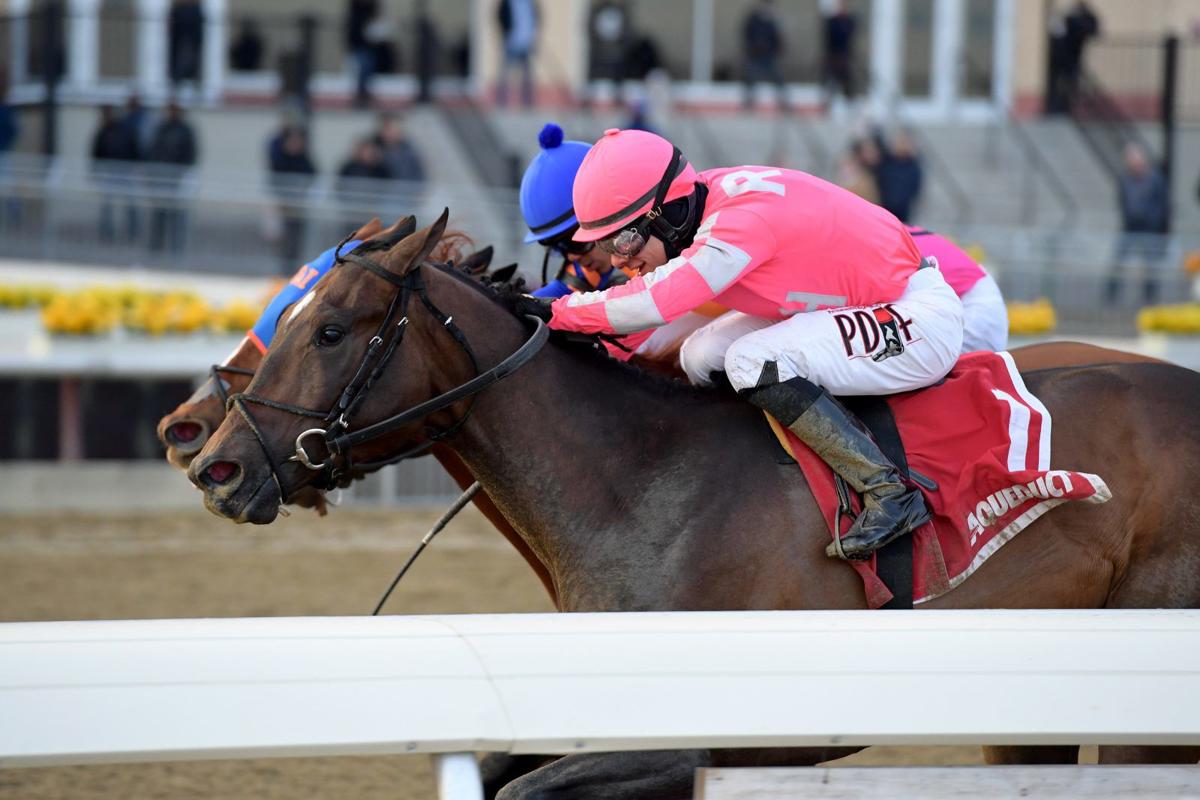 When Is The Next Major Horse Race When Is The Next Major Horse Race