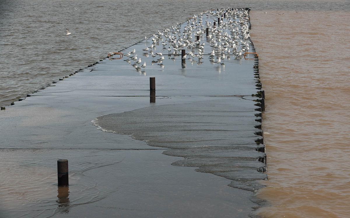 flooding lake ontario HICKEY