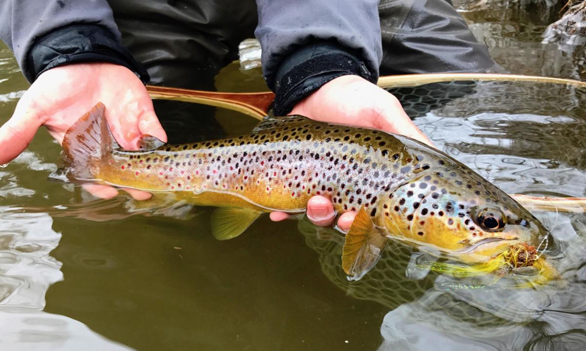 The Fishing Beat April 3 2019 Buffalo Sports Buffalonews Com