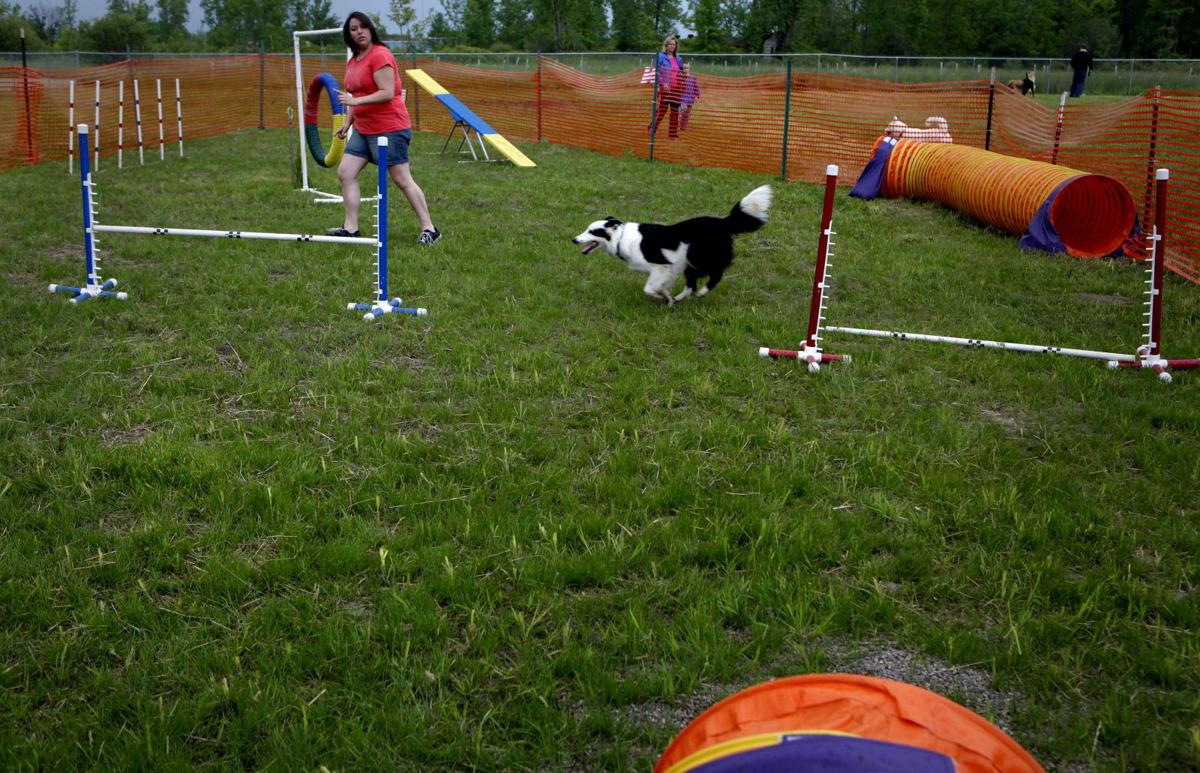 Amherst Sued Over Dog Park Accident That Left Visitor With Broken