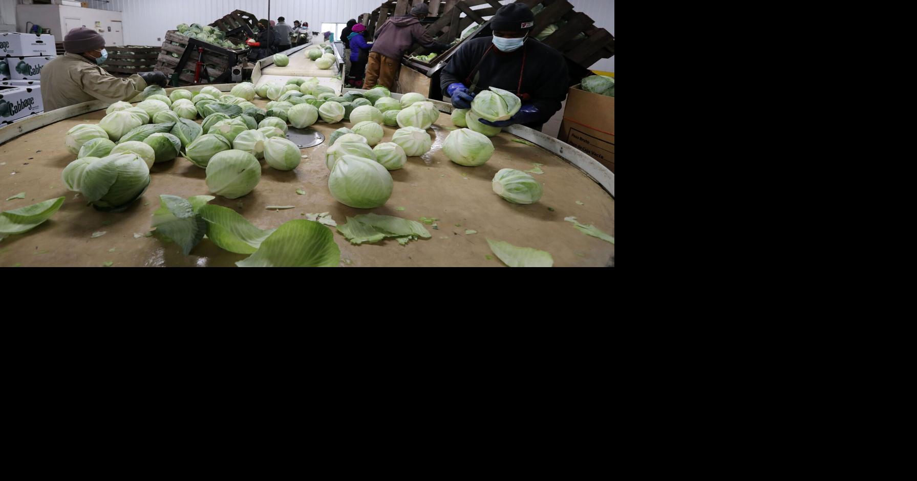 Hochul administration going slow on farm worker overtime threshold issue