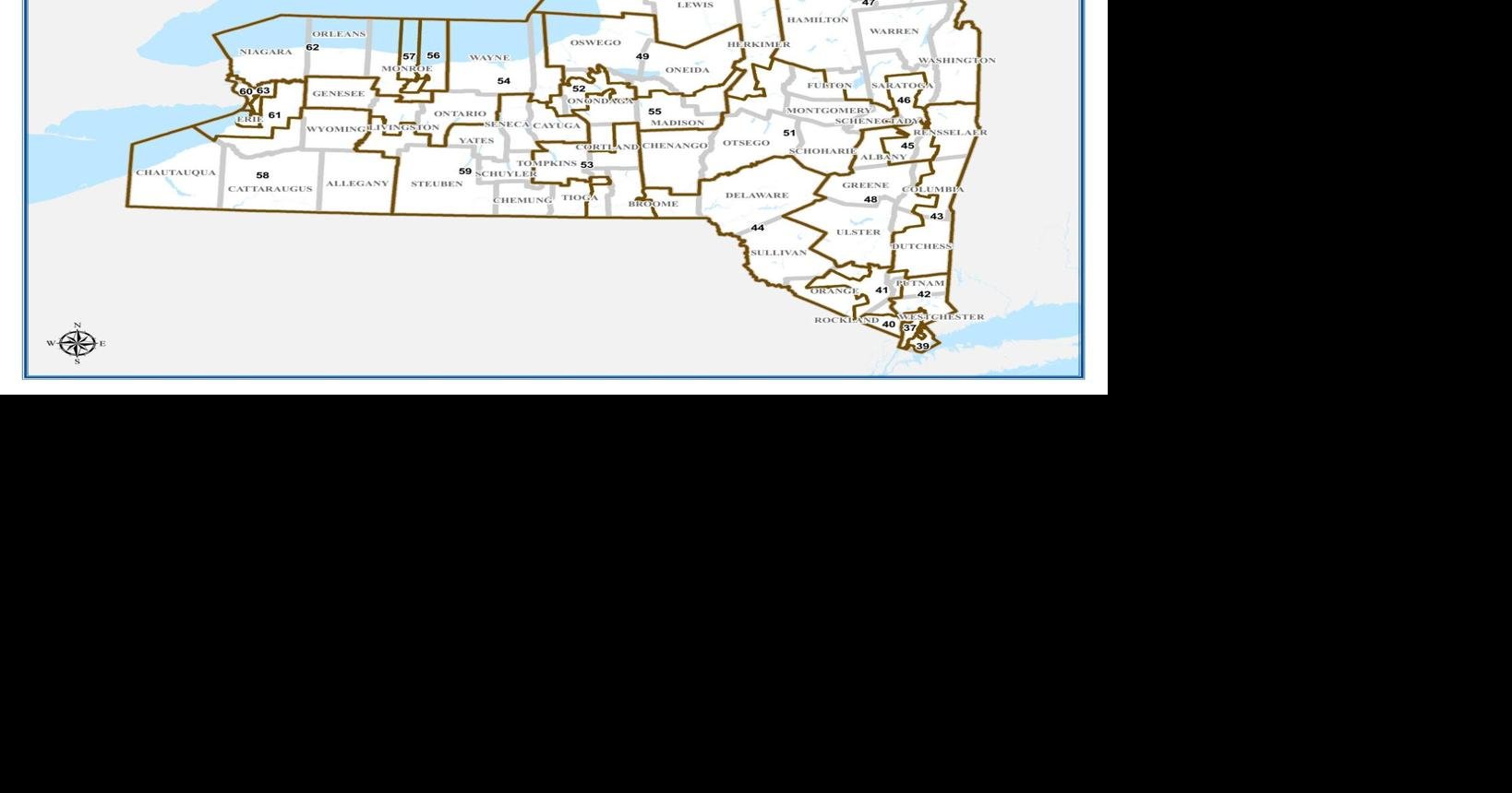 NY Senate districts map