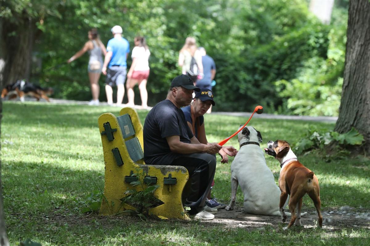Bark Park at Ellicott Island Park Multimedia