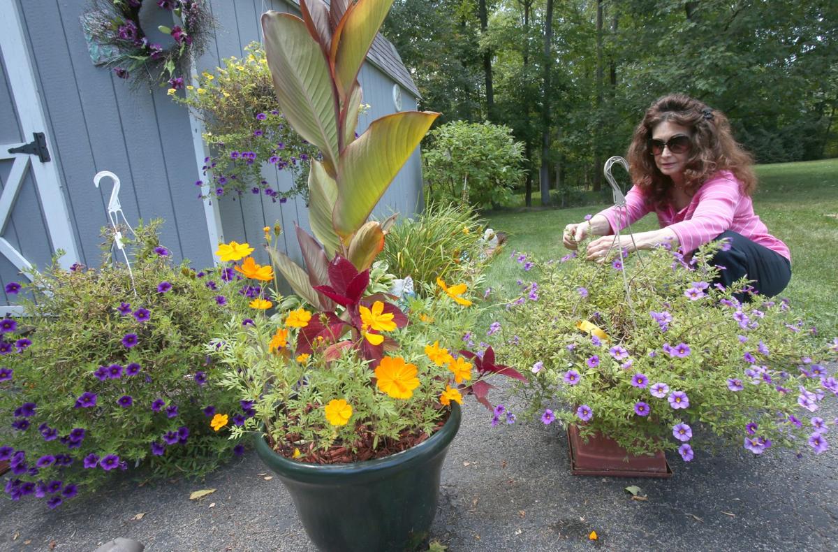 Elma Resident Wants Neighbor To Fix Septic System That Improperly Drains Onto Lawn Local News Buffalonews Com