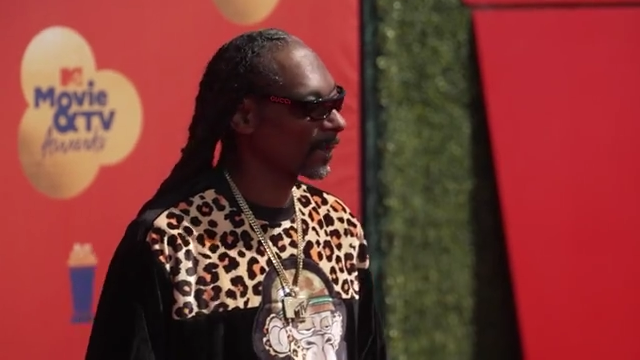 Snoop Dogg and Ryan Reynolds Are Both Bidding to Own an NHL Team