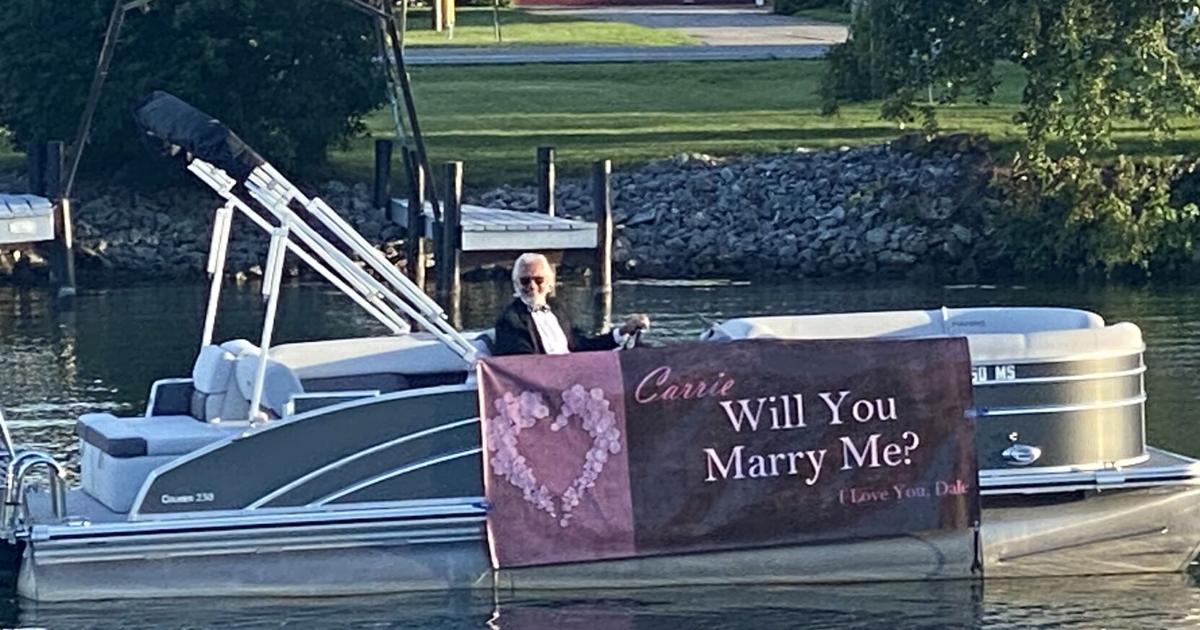 Off Main Street: All-hands-on-deck proposal; escaped turtle