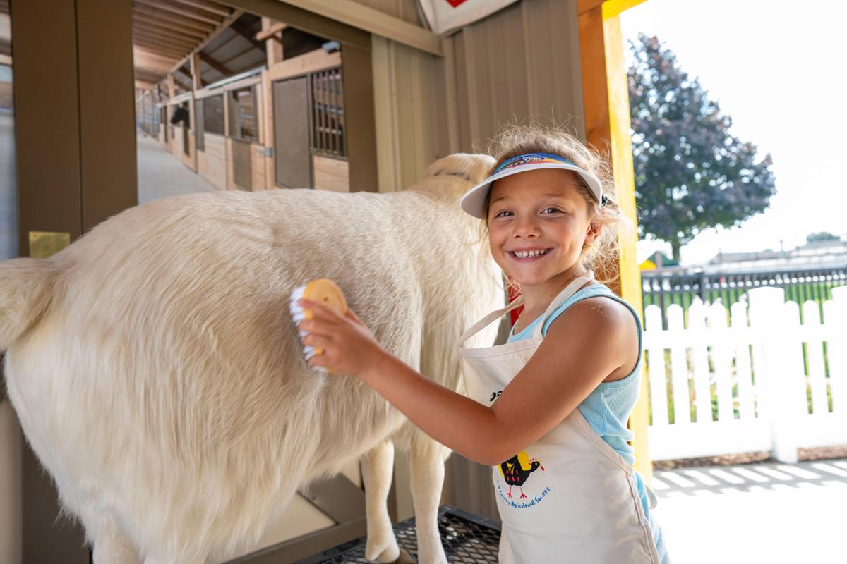 Erie County Fair