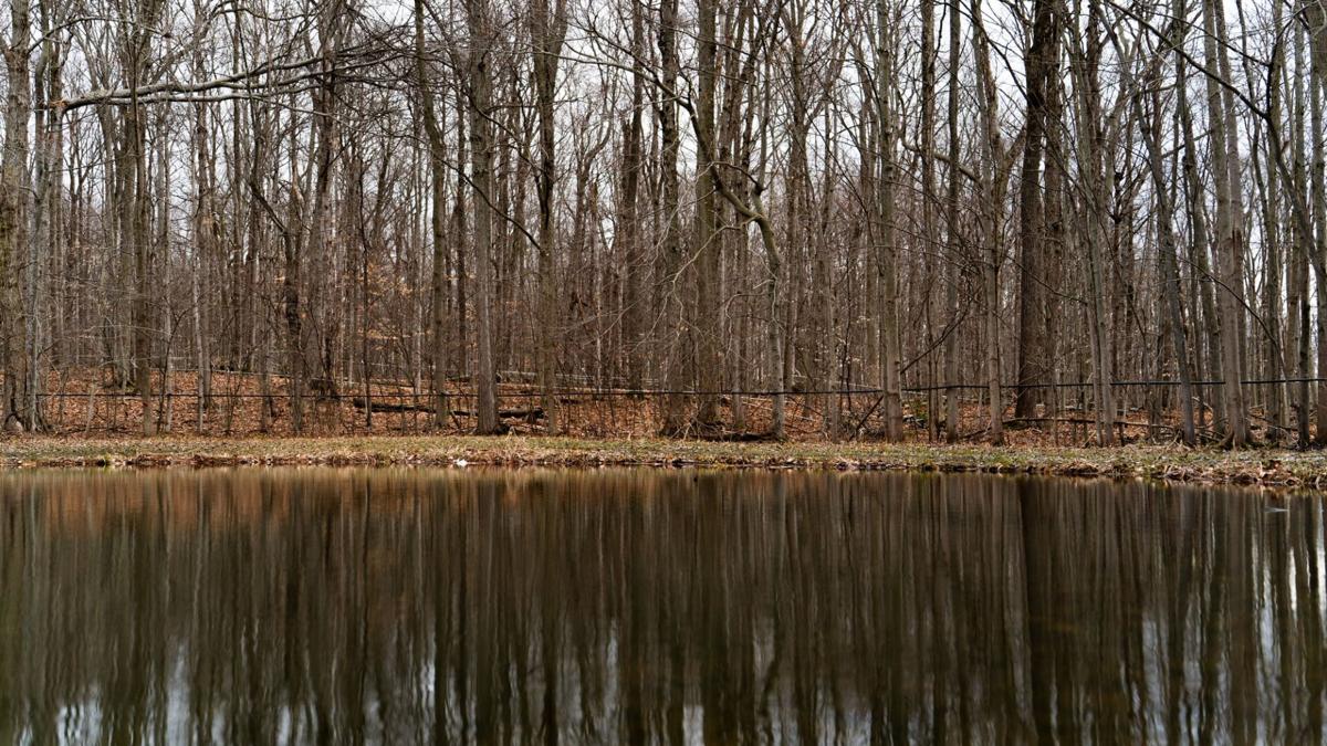 The Editorial Board: Uphold New York's goals of climate resilience for the sake of all residents