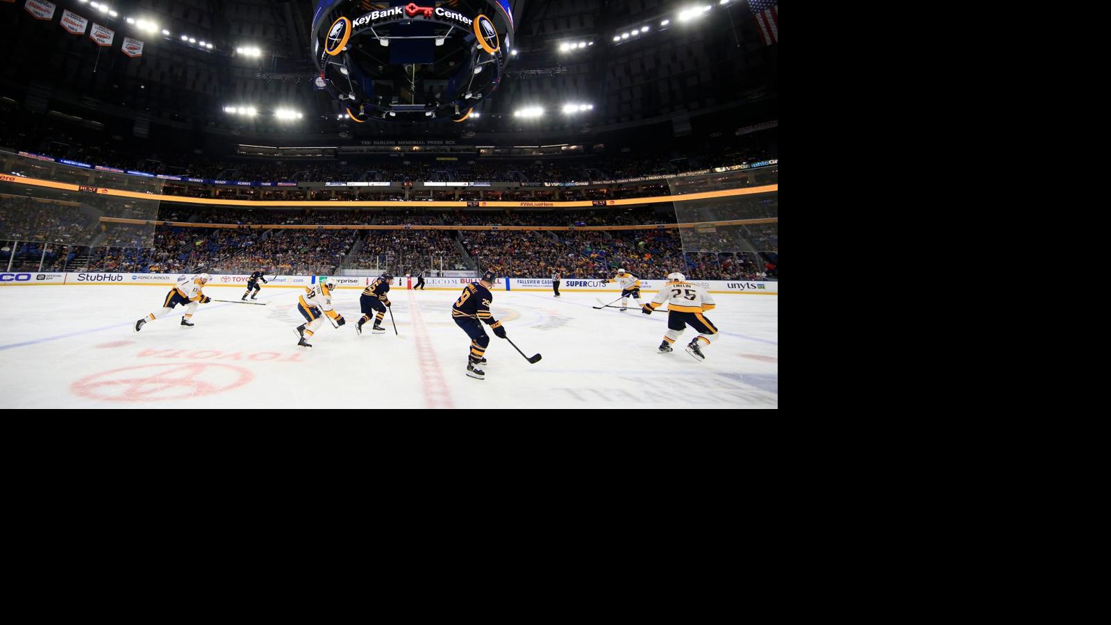 Hasek Bobblehead Fan Of Year Contest Highlight Sabres Fan