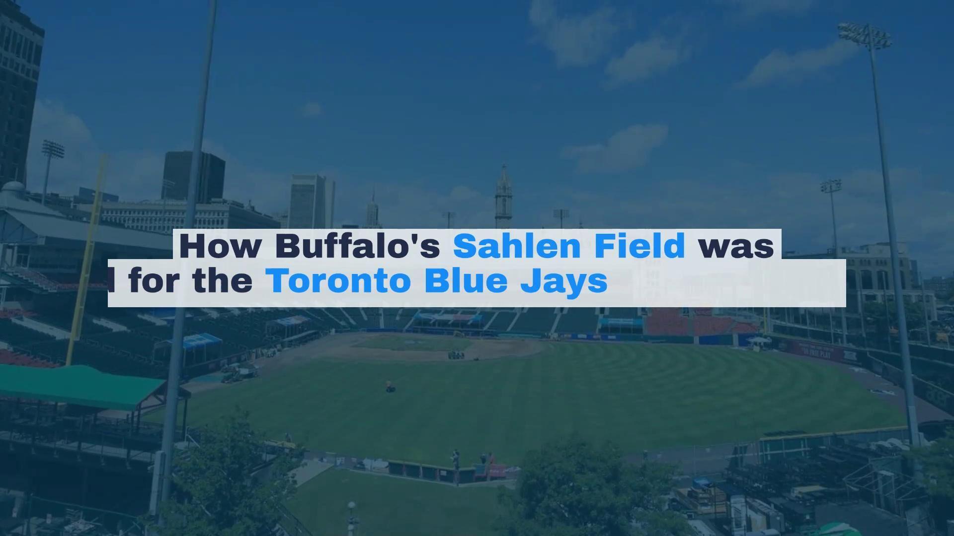 Buffalo embracing the Blue Jays on multi 