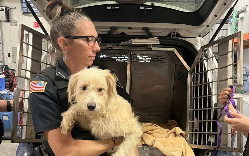 Spca Rescue Operations 3 charged, 22 dogs removed in Tonawanda animal cruelty case