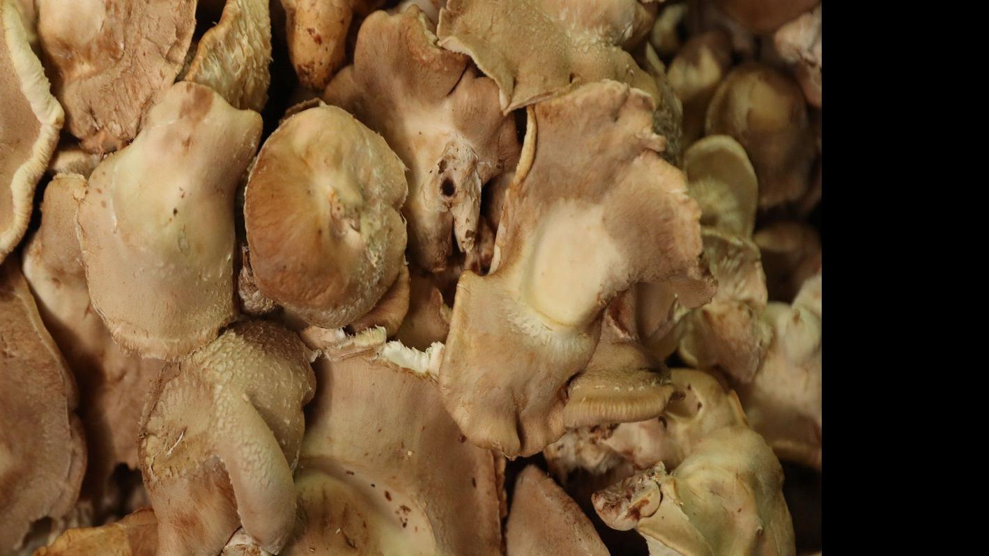 At Flat 12 On The West Side Business Is Mushrooming Dining Buffalonews Com