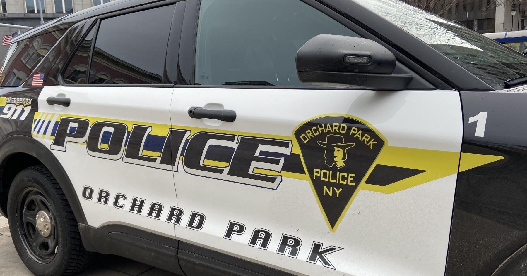 Stop for inspection sticker in Orchard Park leads to more serious charges - Vimarsana News