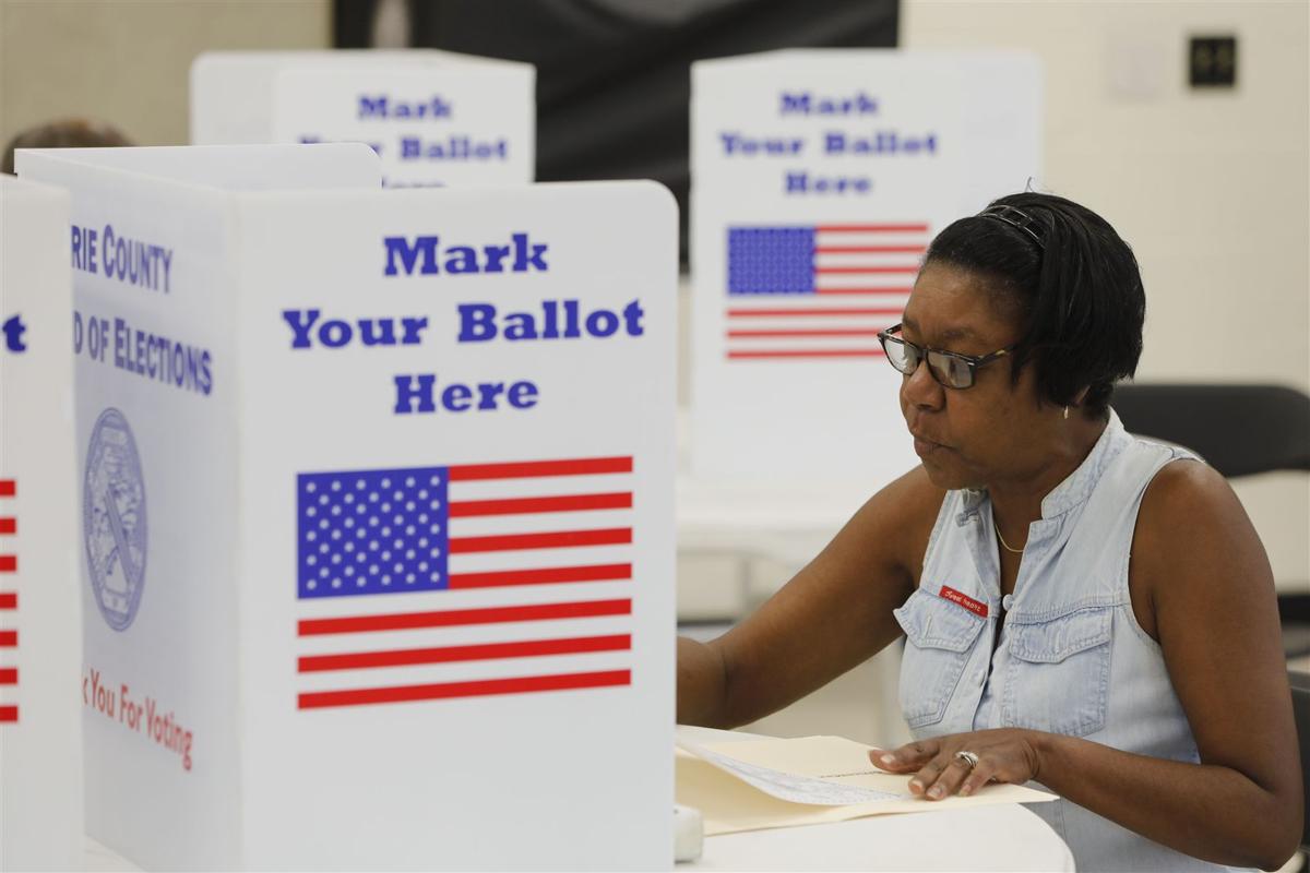1011178669-primary-voting5