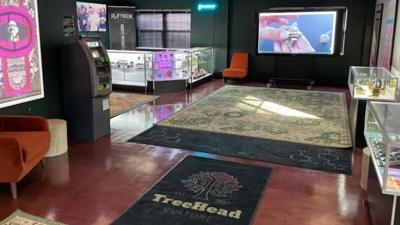 treehead culture image 3.27.24