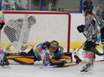 Premier Hockey Federation 2022 All Stars Showcase