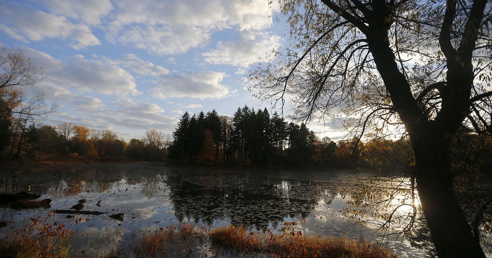 Reinstein Woods in Depew is tranquil time with nature