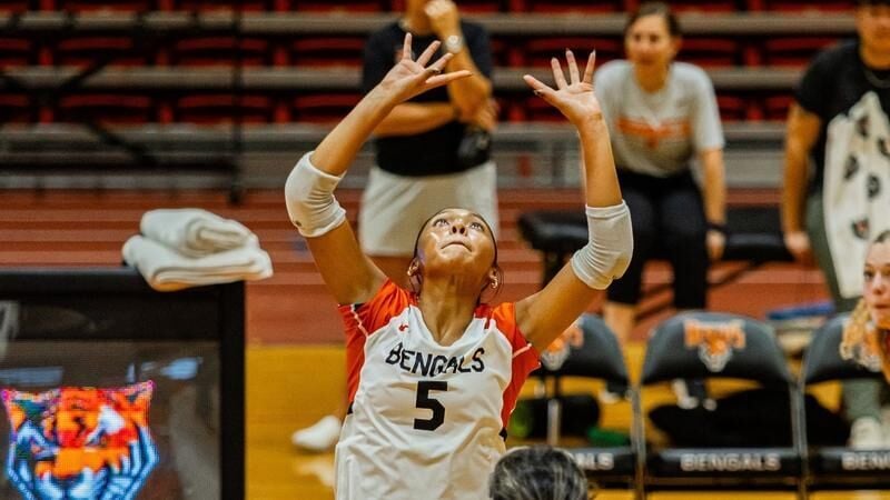 Women's Volleyball Falls In Five To Geneseo